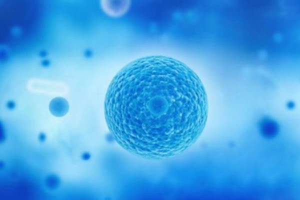 现代医学在间充质干细胞分泌物的研究上取得快速发展