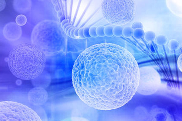什么是干细胞治疗?
