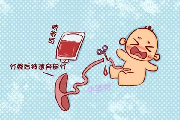 什么是脐带血造血干细胞？