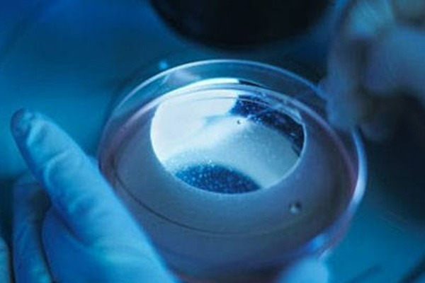 胎盘亚全能干细胞储存