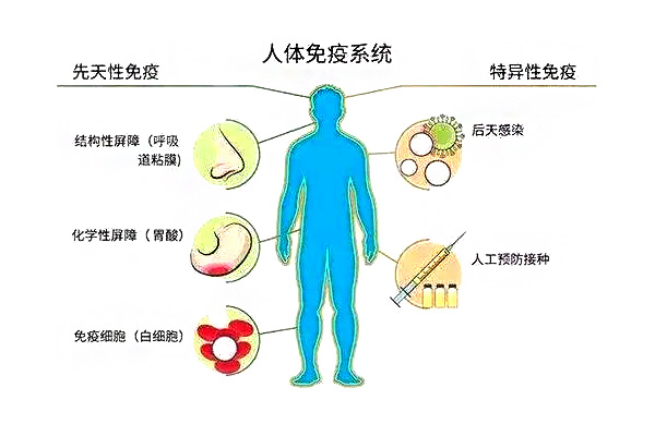 什么是免疫功能