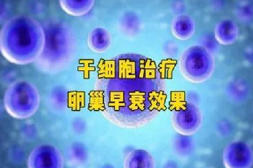 干细胞修复卵巢早衰：从原理到效果，10 个关键问题一次讲透