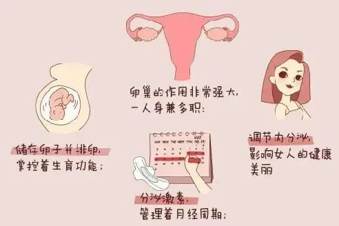 卵巢早衰不用怕，干细胞帮您重拾青春!