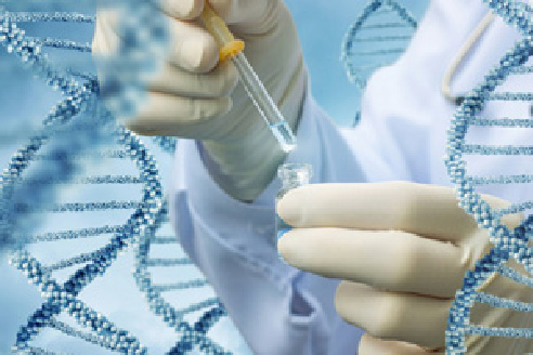 深圳鸿蒙生命：干细胞注射技术