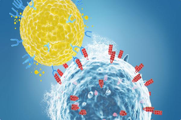 体检能查NK细胞活性吗？