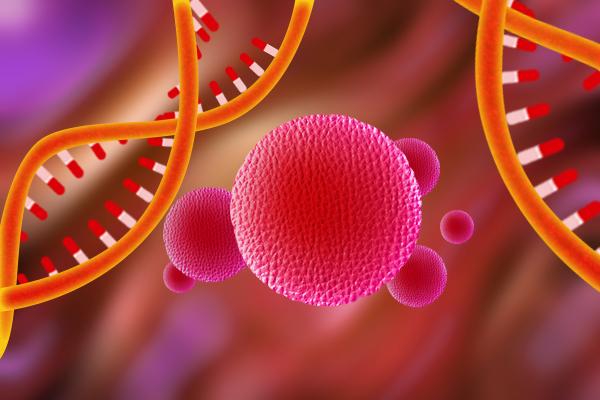 一文读懂干细胞的基本常识