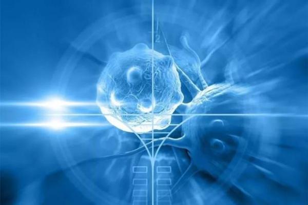 胚胎干细胞与成体干细胞的区别