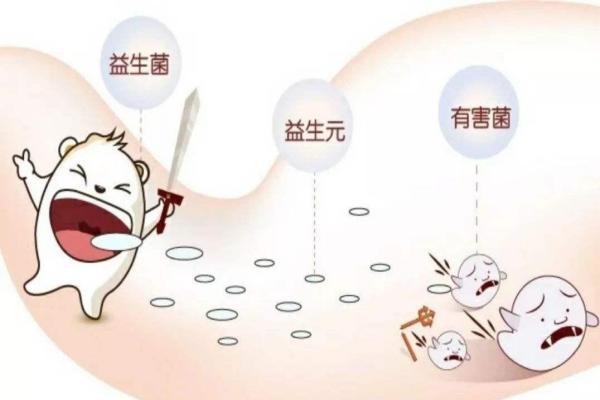 益生菌真能提高免疫力？