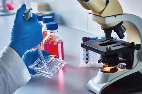 干细胞能治疗哪些疾病？