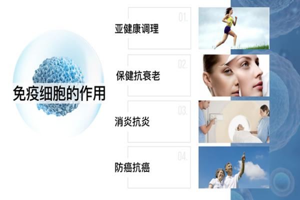 免疫细胞能“储存”吗？未来医学的新趋势