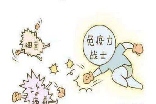 “爱学习” 的免疫系统：人体的智慧防御队